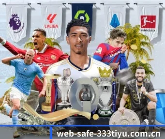 web-safe-333tiyu.com.cn APP